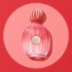 Picture of ANTONIO BANDERAS THE ICON SPLENDID EDP 50ML+ LOTION 75ML